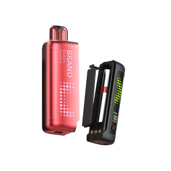 Detachable battery Pod system.jpg